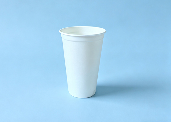 16oz